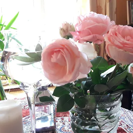 Palazzo Colombino Suite&residence