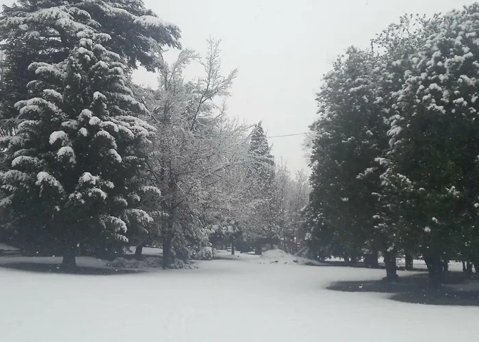 Апарт-отель Palazzo Colombino Suite&residence